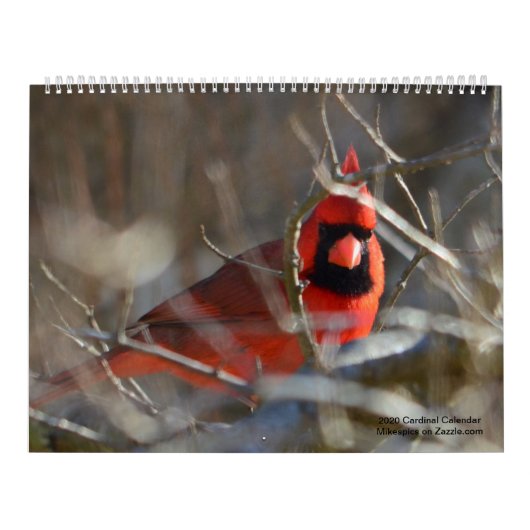 Calendrier cardinal 2020 (Protection)