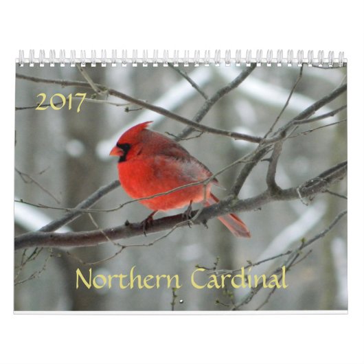Calendrier Cardinal du Nord (Protection)