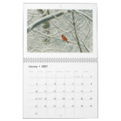 Calendrier Cardinaux à l'aquarelle 2026 (Jan 2027)