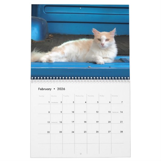 Calendrier Cat (Feb 2026)