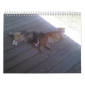 Calendrier Cat (Protection)