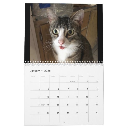 Calendrier Cat (Jan 2026)