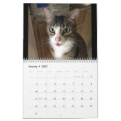 Calendrier Cat (Jan 2027)