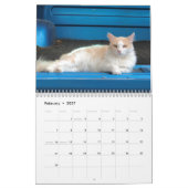 Calendrier Cat (Feb 2027)