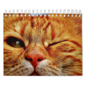 Calendrier Cat (Protection)