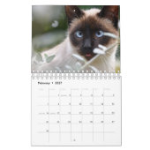 Calendrier Cat (Feb 2027)