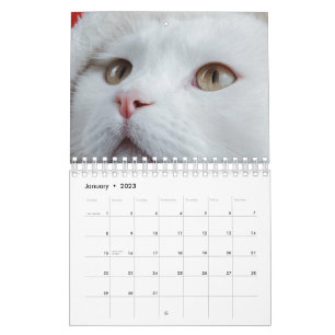 Calendrier Cat