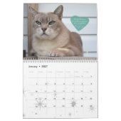 Calendrier Cat 2020, Souvenir de Earl Grey (Jan 2027)