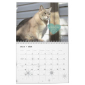 Calendrier Cat 2020, Souvenir de Earl Grey (Mar 2026)