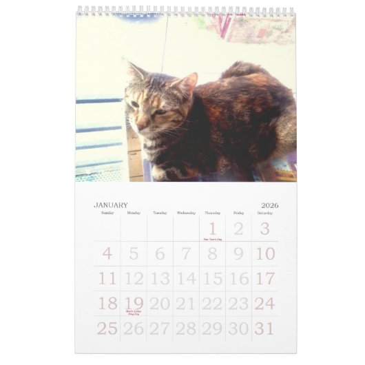 Calendrier Cat 2022 (Jan 2026)
