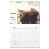 Calendrier Cat 2022 (Mar 2026)