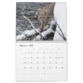 Calendrier Cat 2023 (Feb 2026)