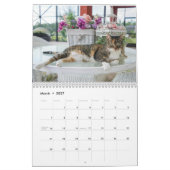 Calendrier Cat 2023 (Mar 2027)