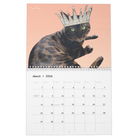 Calendrier Cat 2023 (Mar 2026)
