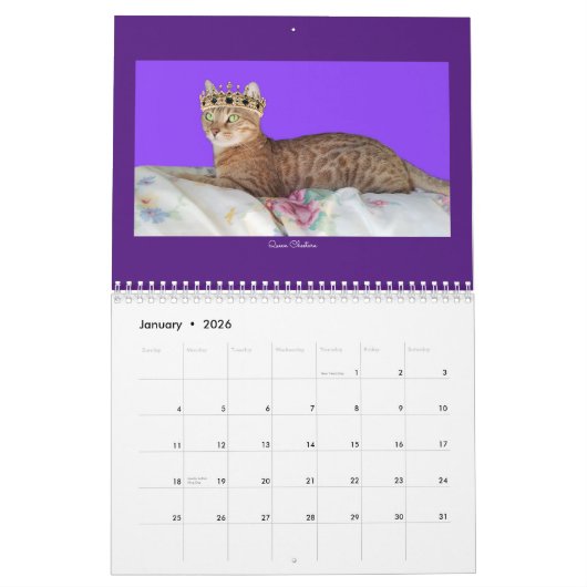 Calendrier Cat 2023 (Jan 2026)