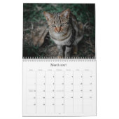 Calendrier Cat 2026 (Mar 2027)