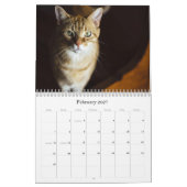Calendrier Cat 2026 (Feb 2027)