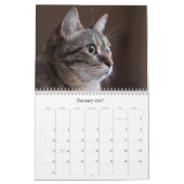 Calendrier Cat 2026 (Jan 2027)