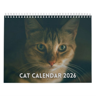 Calendrier Cat 2026