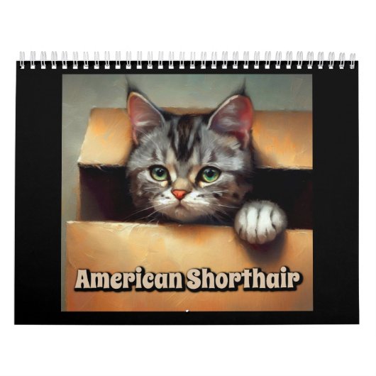 Calendrier Cat américain shorthair (Protection)