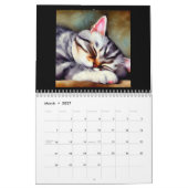Calendrier Cat américain shorthair (Mar 2027)