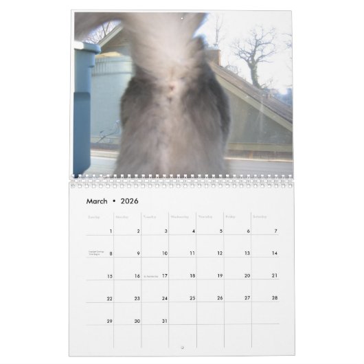 Calendrier Cat Butt 2020 (Mar 2026)