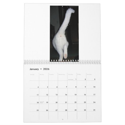 Calendrier Cat Butt 2020 (Jan 2026)