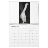Calendrier Cat Butt 2020 (Jan 2027)