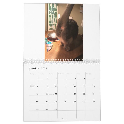 Calendrier Cat Butt 2021 (Mar 2026)