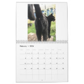 Calendrier Cat Butt 2021 (Feb 2026)