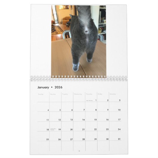 Calendrier Cat Butt 2021 (Jan 2026)