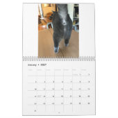 Calendrier Cat Butt 2021 (Jan 2027)