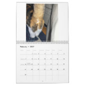 Calendrier Cat Butt 2022 (Feb 2027)