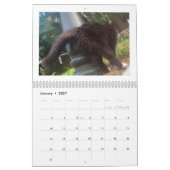 Calendrier Cat Butt 2022 (Jan 2027)