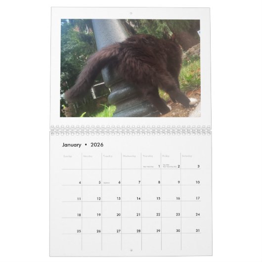 Calendrier Cat Butt 2022 (Jan 2026)