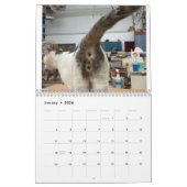 Calendrier Cat Butt 2022 (Jan 2026)