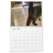 Calendrier Cat Butt 2022 (Mar 2027)