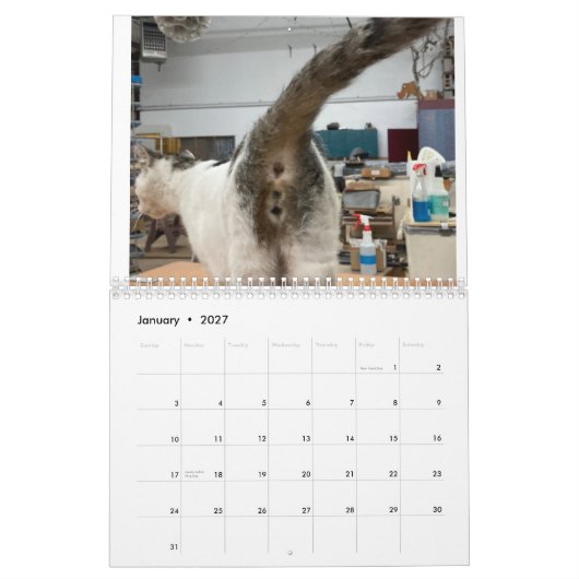 Calendrier Cat Butt 2022 (Jan 2027)