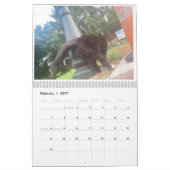 Calendrier Cat Butt 2022 (Feb 2027)