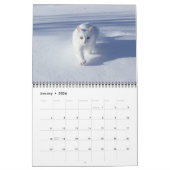 Calendrier Cat Lovers Calendar (Jan 2026)