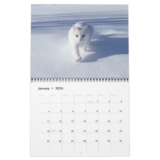 Calendrier Cat Lovers Calendar (Jan 2026)
