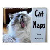 Calendrier Cat Naps 2021 (Protection)