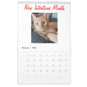Calendrier Cat Photo Quotes Customize Fun (Feb 2026)