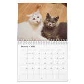 Calendrier Cat Photos Make Your PAWsome Personalized Calendar (Feb 2026)