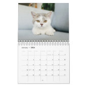 Calendrier Cat Photos Make Your PAWsome Personalized Calendar (Jan 2026)