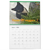 Calendrier Cat Roxy (Mar 2026)