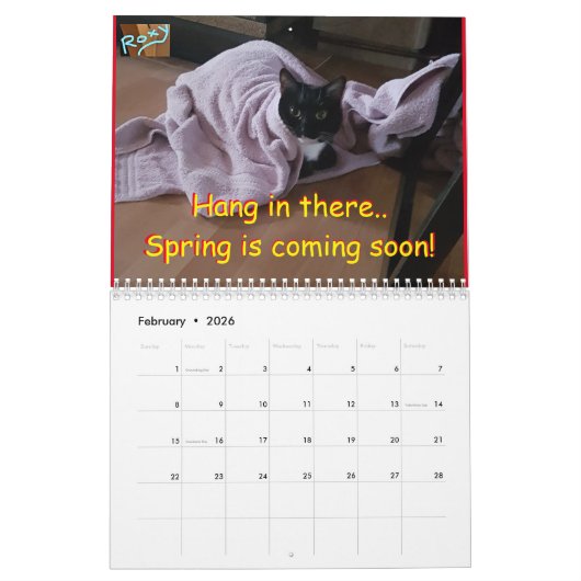 Calendrier Cat Roxy (Feb 2026)