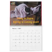 Calendrier Cat Roxy (Feb 2027)