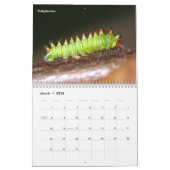 Calendrier Caterpiliers de la série Jardin (Mar 2026)