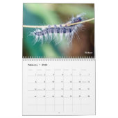Calendrier Caterpiliers de la série Jardin (Feb 2026)
